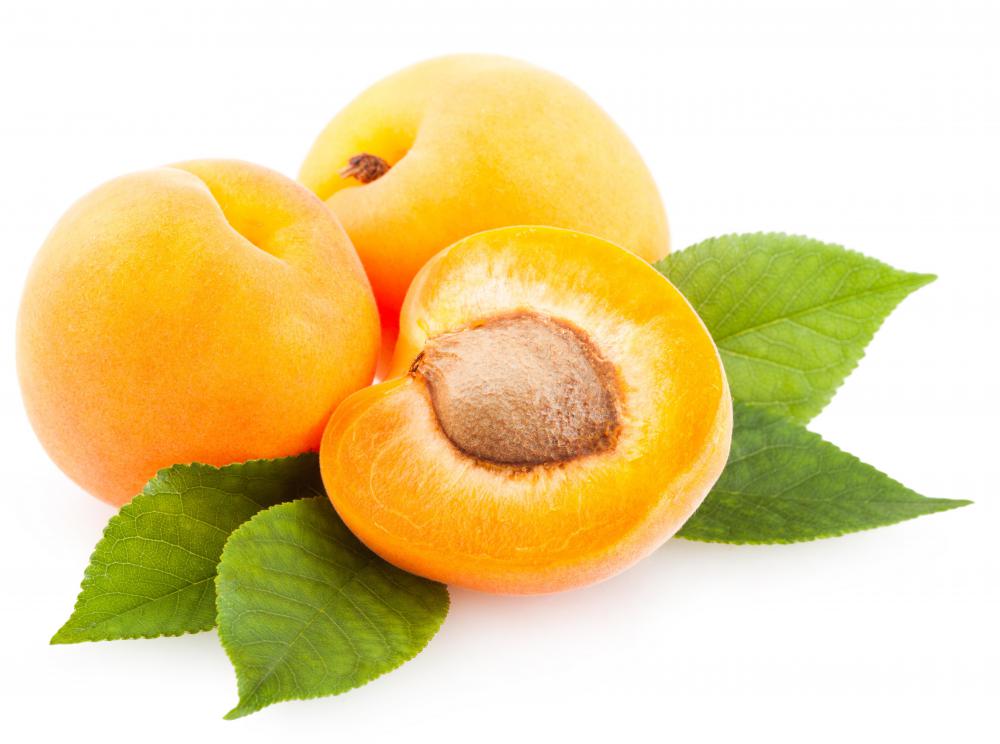 Apricots are a favorite orchard fruit.