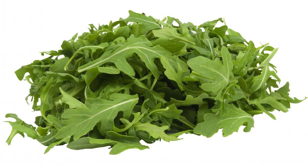 Arugula can be grown in a greenhouse.