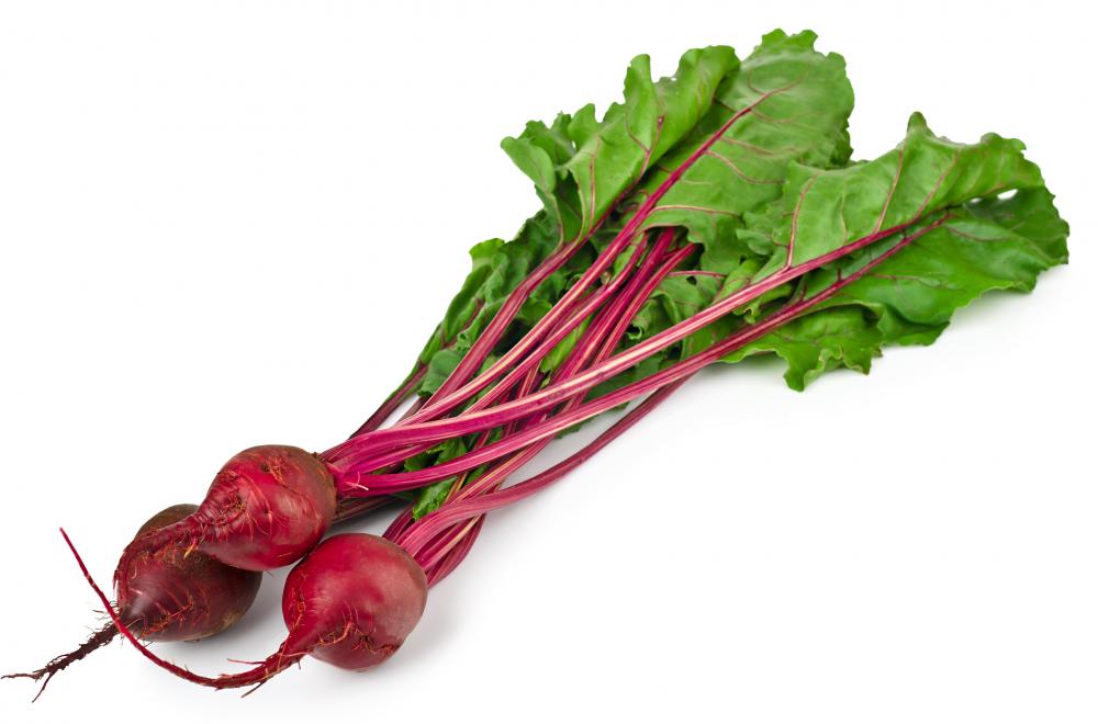 Beetroot is an edible plant in the Chenopodiaceae family.