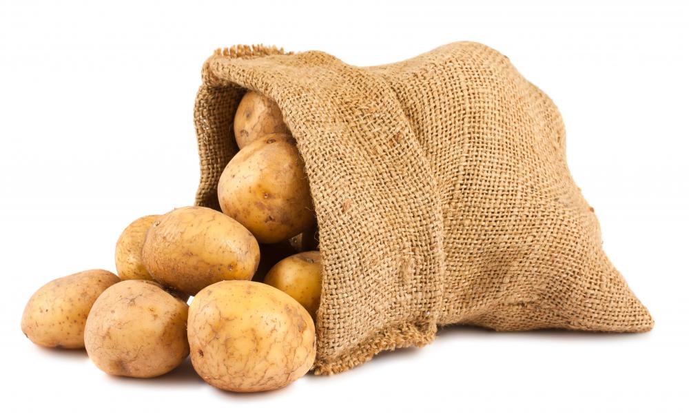 Potato blight caused the Irish Potato Famine of 1845.