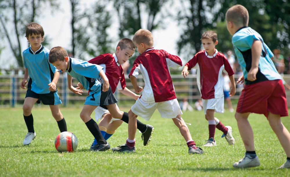St. Augustine grass is often planted on sports fields that receive heavy use from recreational leagues.