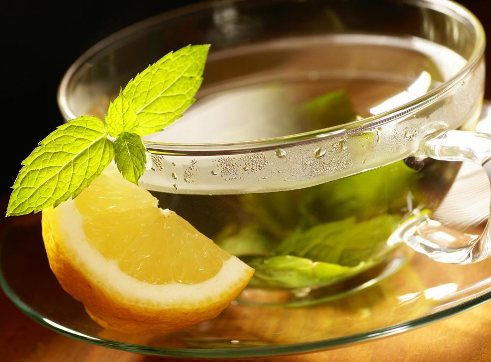 Germander can be made into a tea.