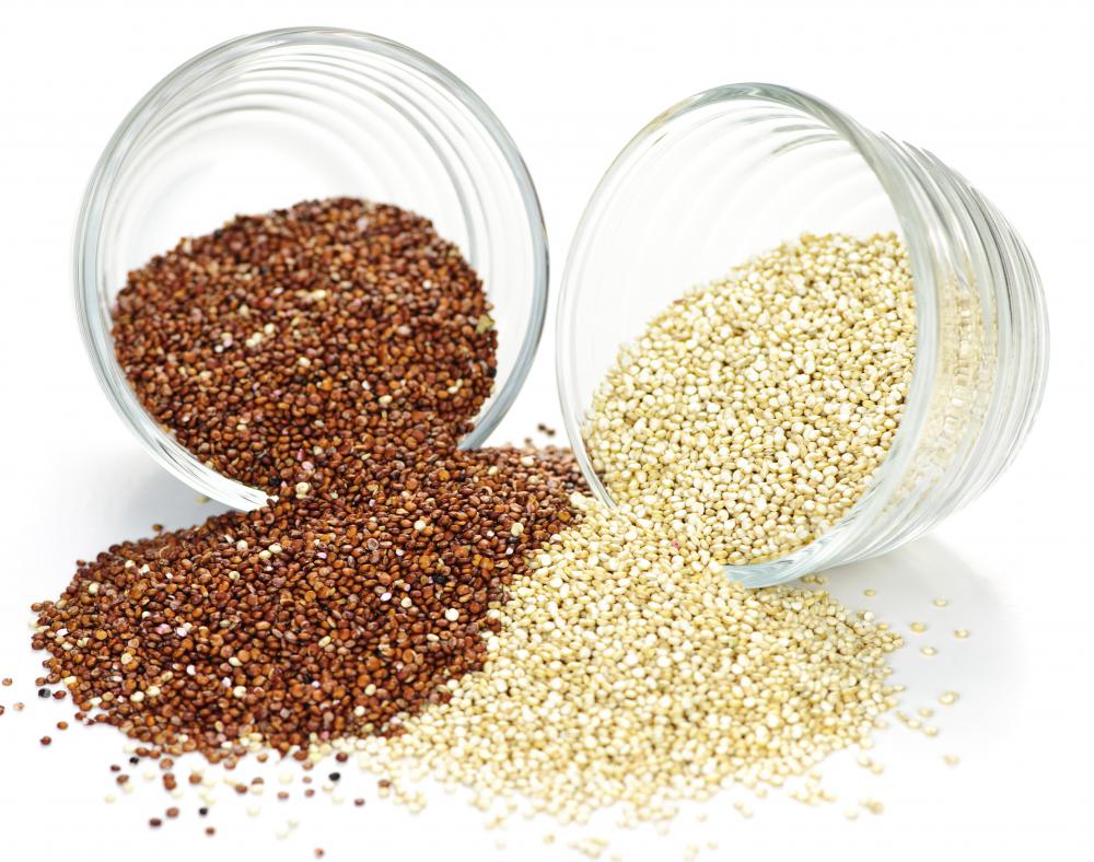 Quinoa is an edible member of the Chenopodiaceae family.
