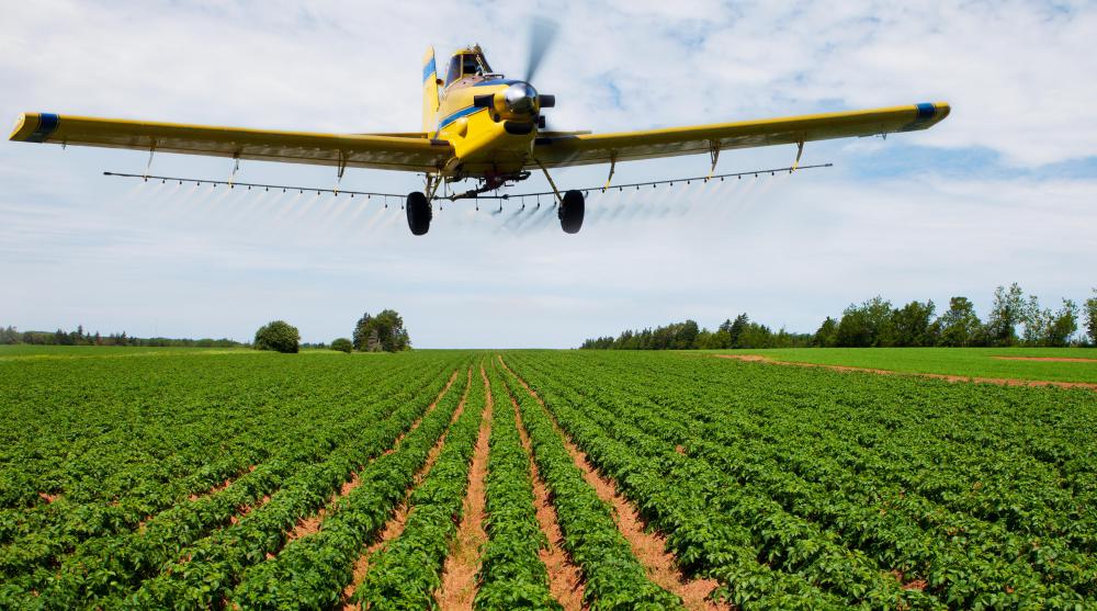 Crop dusters can be used to apply fungicides to fields.