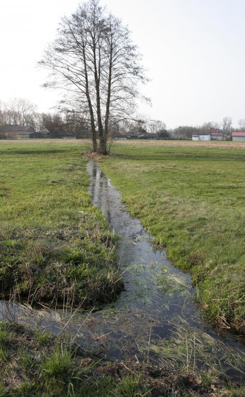 A drainage ditch or trench drain may be able to quickly remove large amounts of water.