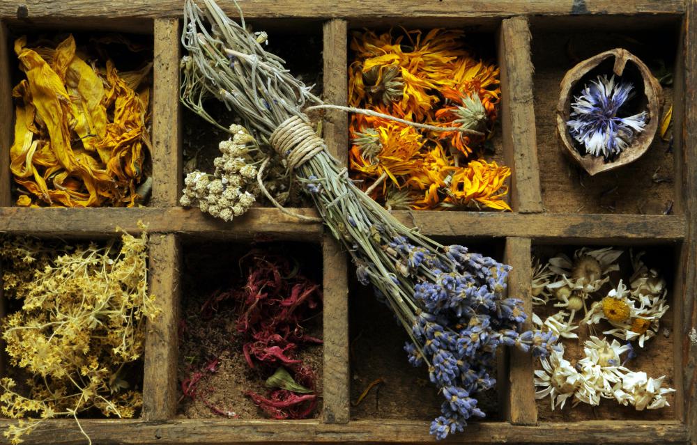 Tight clusters of flowers are often best for drying.