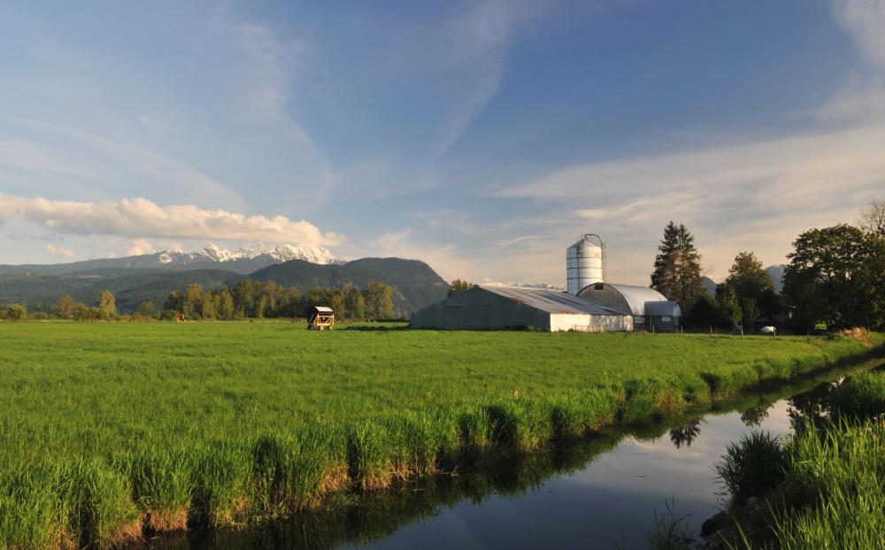 Ammonium sulphate can enrich the nitrogen level of soil, however it should not be used near a stream that enters the water supply.