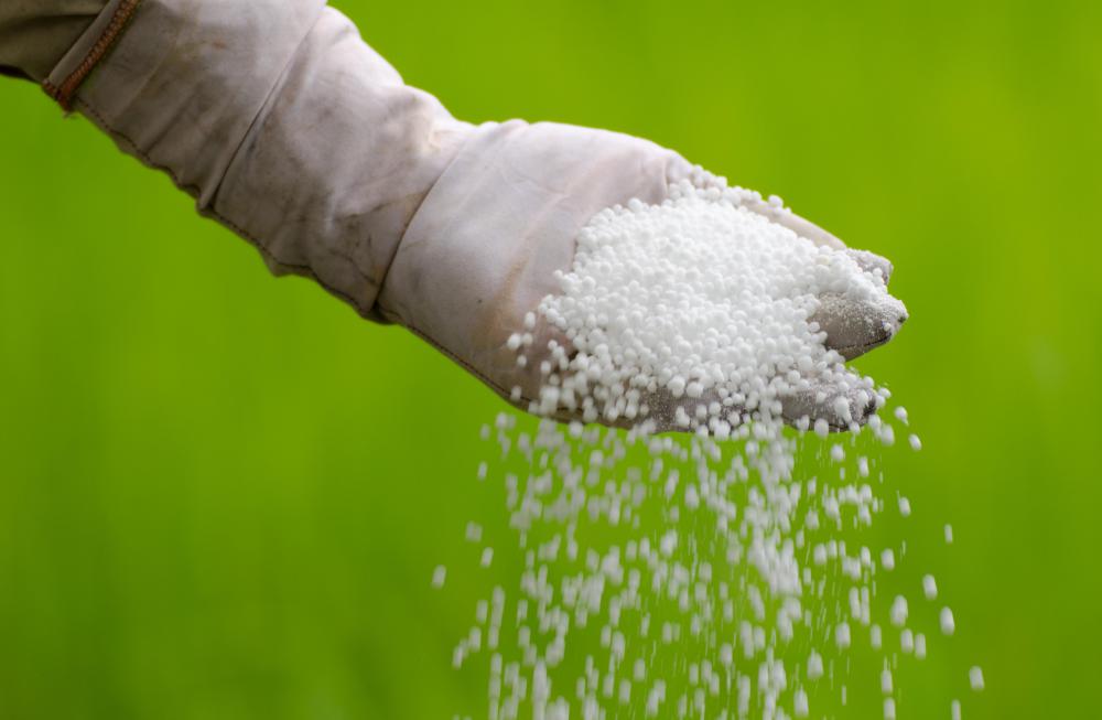 Granular fertilizer usually has predictable behavior once it's applied.