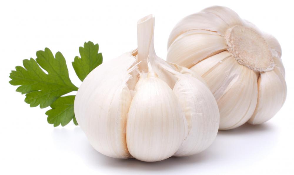 The scent of planted garlic may deter stray cats.