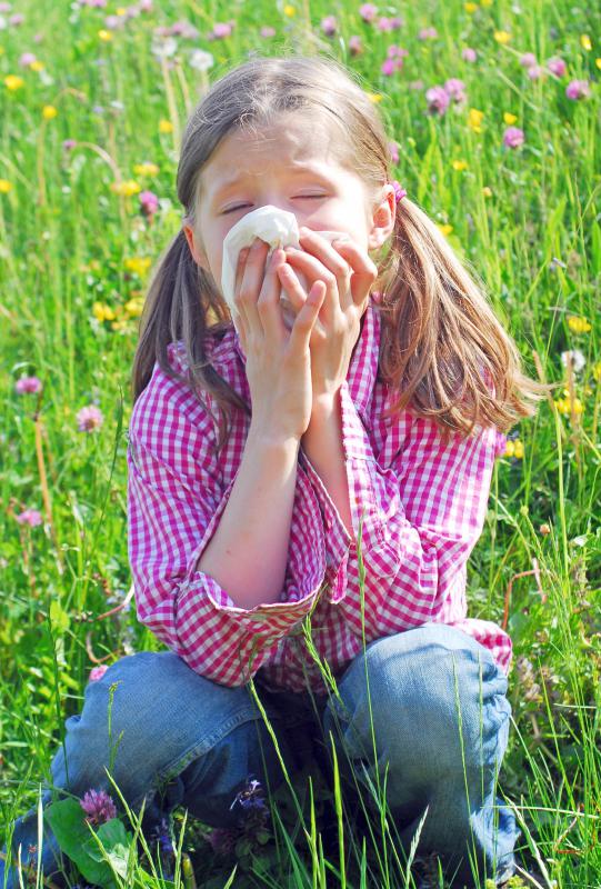 Grass pollen allergies are commonly known as hay fever.