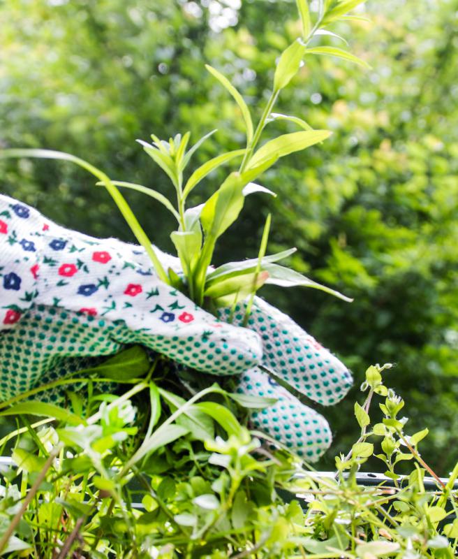 One of the best ways to get rid of weeds is to dig them up.