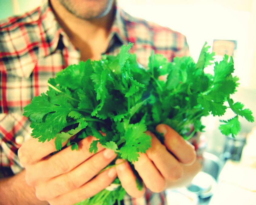 Coriander can be used to prevent leaf blight.