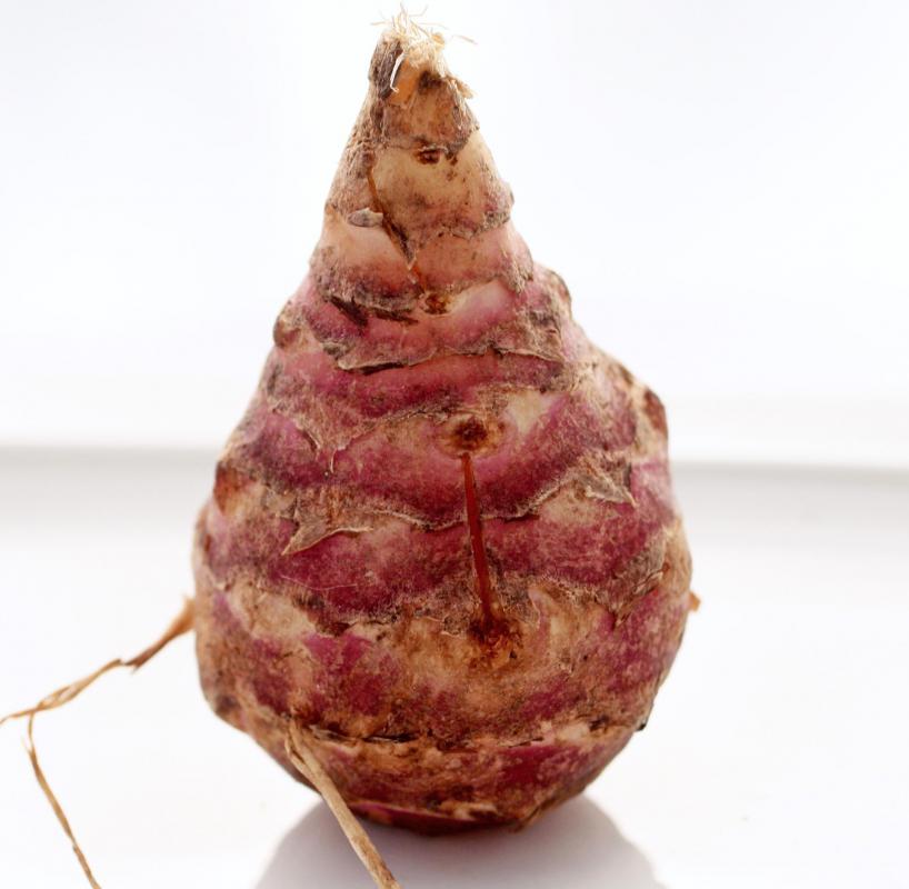 The jerusalem artichoke, or sun choke, is a good source of inulin.