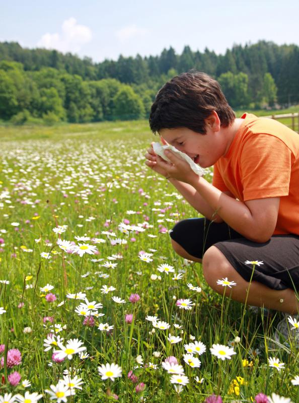 Air ionizers may help reduce allergy symptoms in some with season allergies.