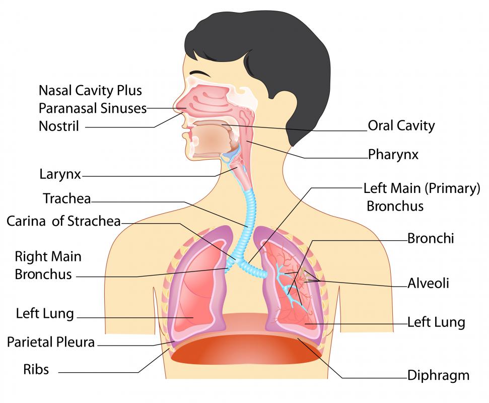 High levels of radon gas in homes and buildings has been linked to lung cancer.