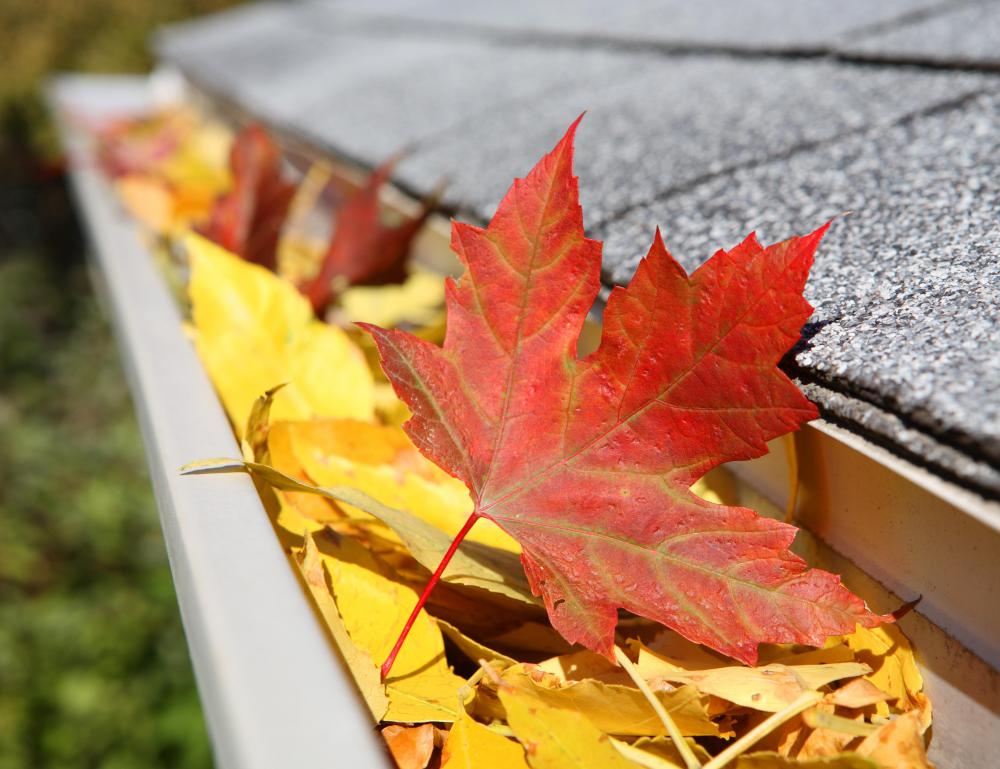 Rain gutters must be cleaned out regularly so downspouts don't get clogged.