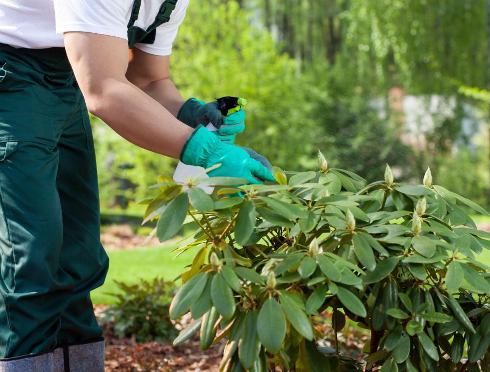 Exterior home designers might focus on native plants to celebrate the local community.