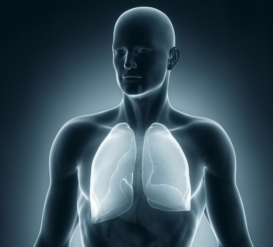 Spanish thyme contains forskolin, which may be helpful in improving chronic lung disease.