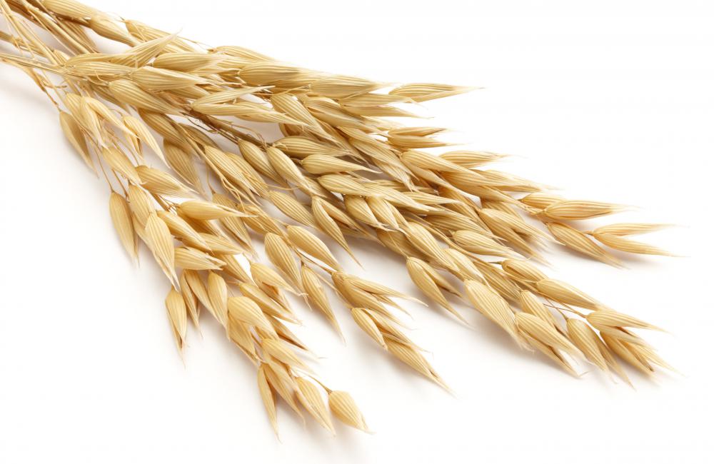 Some producers grow oats to make hay.