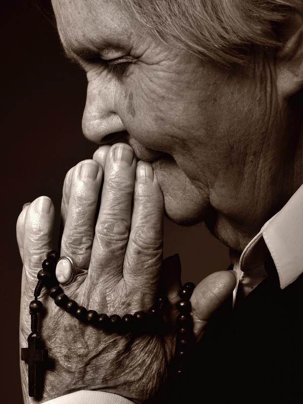 Monks in Europe once used seeds of the chinaberry tree to make rosaries.