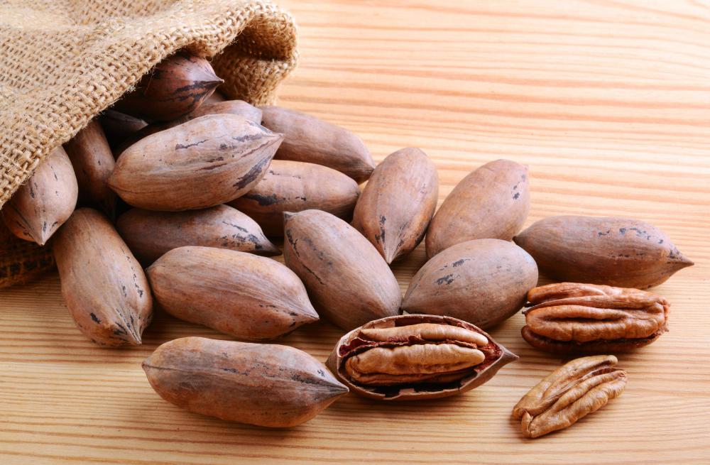The pecan tree is a variety of hickory that is well known for the edible nuts that grow on it.