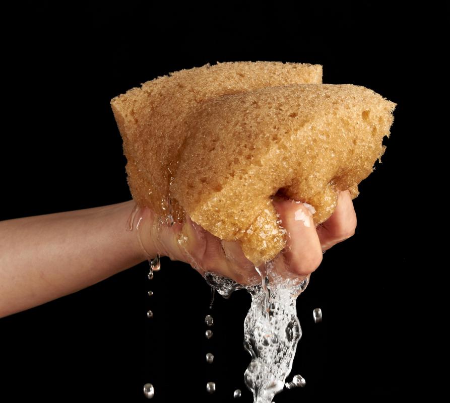 A large sponge soaked in a mild detergent solution can be used to wipe up an ant trail.