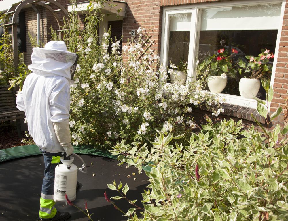 A termite bond is usually affordable for homeowners and cost-effective for pest control companies.