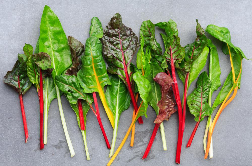 Swiss chard is a good vegetable for a greenhouse.