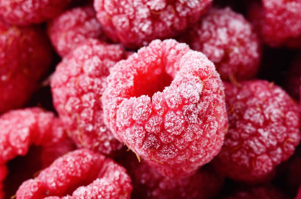 Fungus can cause disease in raspberries.