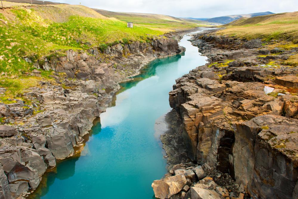 Detention ponds can prevent rivers or streams from overflowing and flooding nearby land.