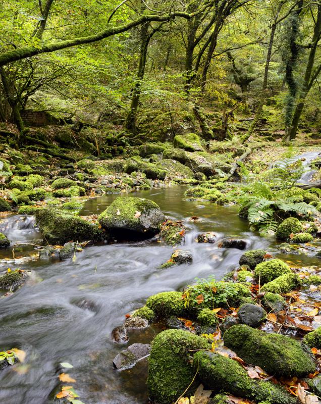 A property survey will include rivers and creeks.