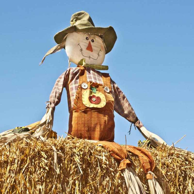 A scarecrow might scare away ravens for awhile.