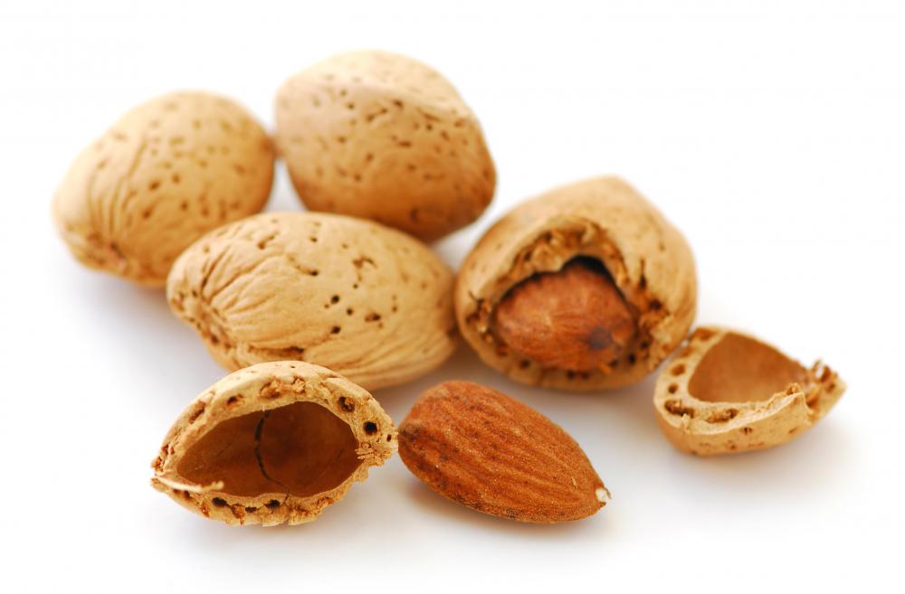 Almonds, which are grown in an orchard.