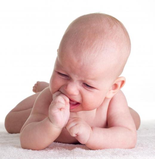 Vervain can help treat colic.