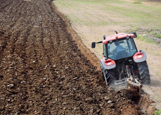 Soil should not be over-cultivated.