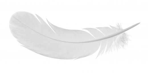 A duvet may be filled with feathers.