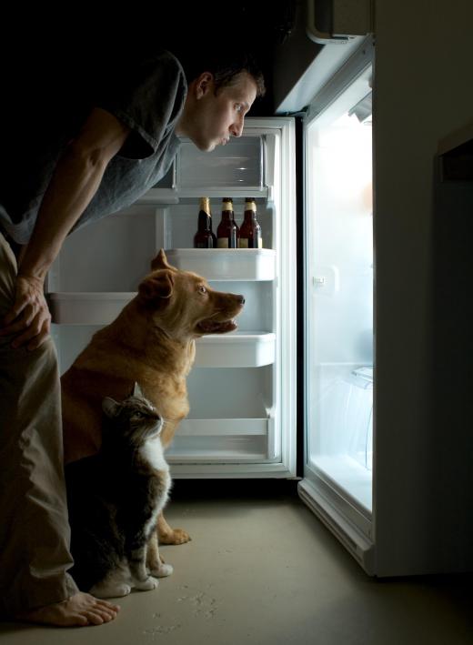 Refrigerators use heat pumps to keep their insides cool.