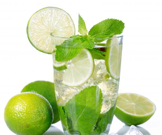 Fragrant lemon mint can be used in a summery mojito cocktail.