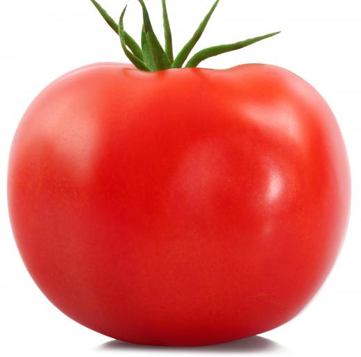 Market gardeners often grow tomatoes.