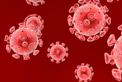 Viruses are easily spread from one plant to the next.