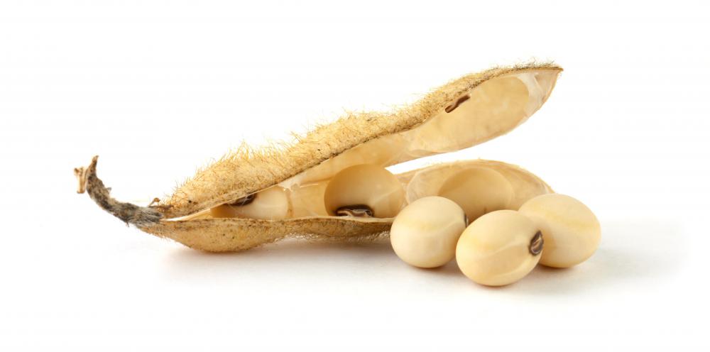 Oil from soybeans is used to make a natural paint remover without harsh chemicals.