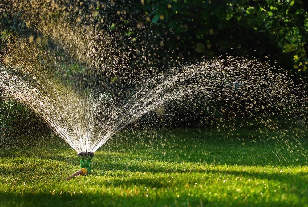 Over watering a lawn may cause the grass to die.