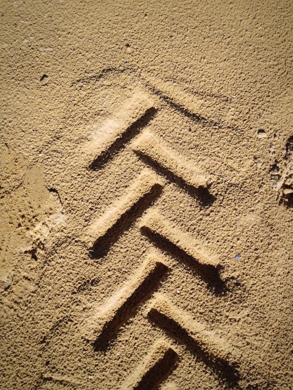 Sandy soil is comprised of tiny granules.