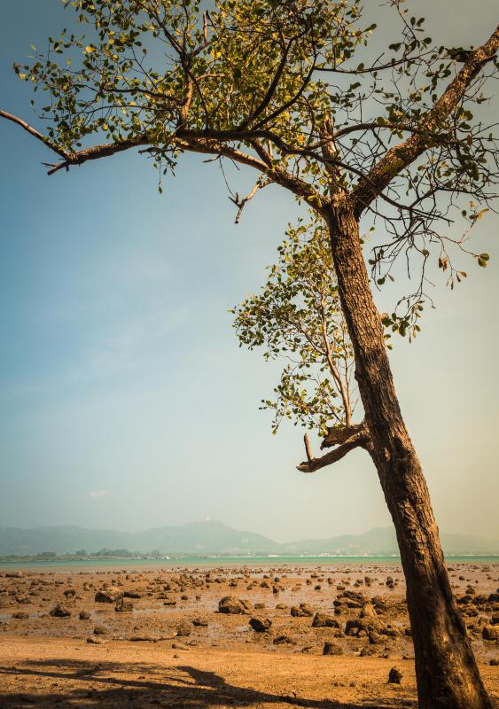 People who live in hot, dry climates find swamp coolers to be effective in cooling and humidifying homes.