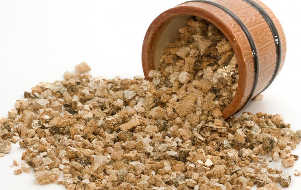 Hibiscus cuttings may grow better when soil is mixed with vermiculite.