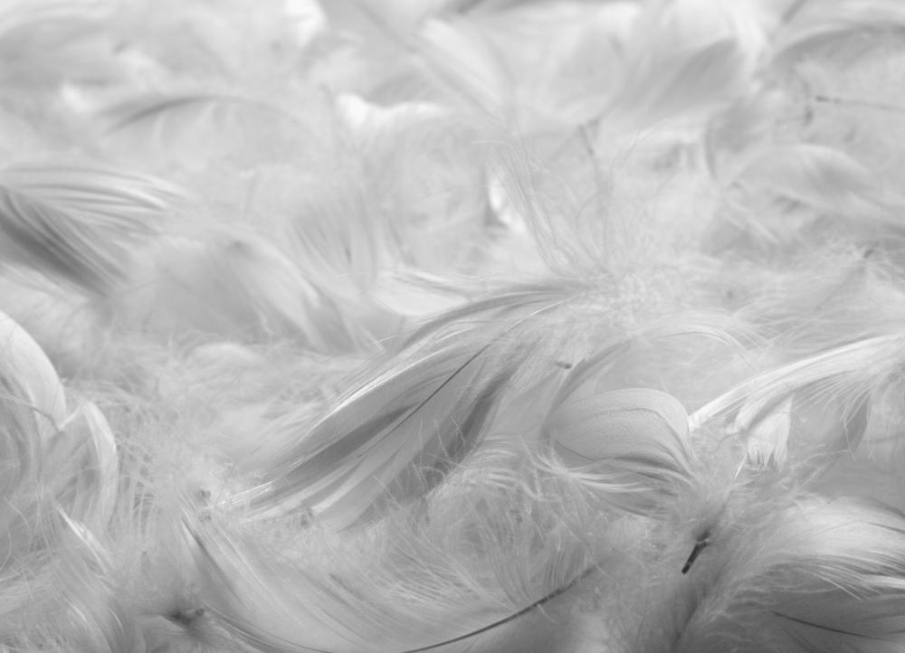 Standard comforters may cause an allergic reaction in people who are allergic to feathers..