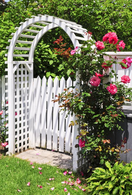 What is an Arbor? (with pictures)