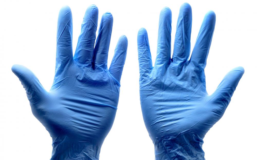 What is a Gopher Plant? (with picture)