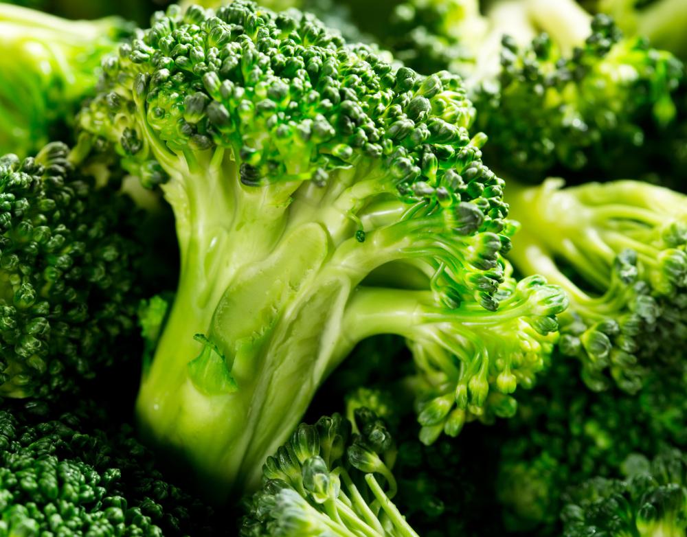 What Are the Best Tips for Growing Broccoli? (with pictures)