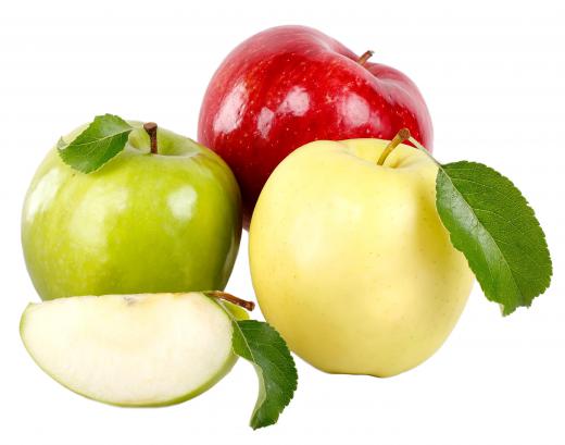 Apples are commonly grown in orchards.